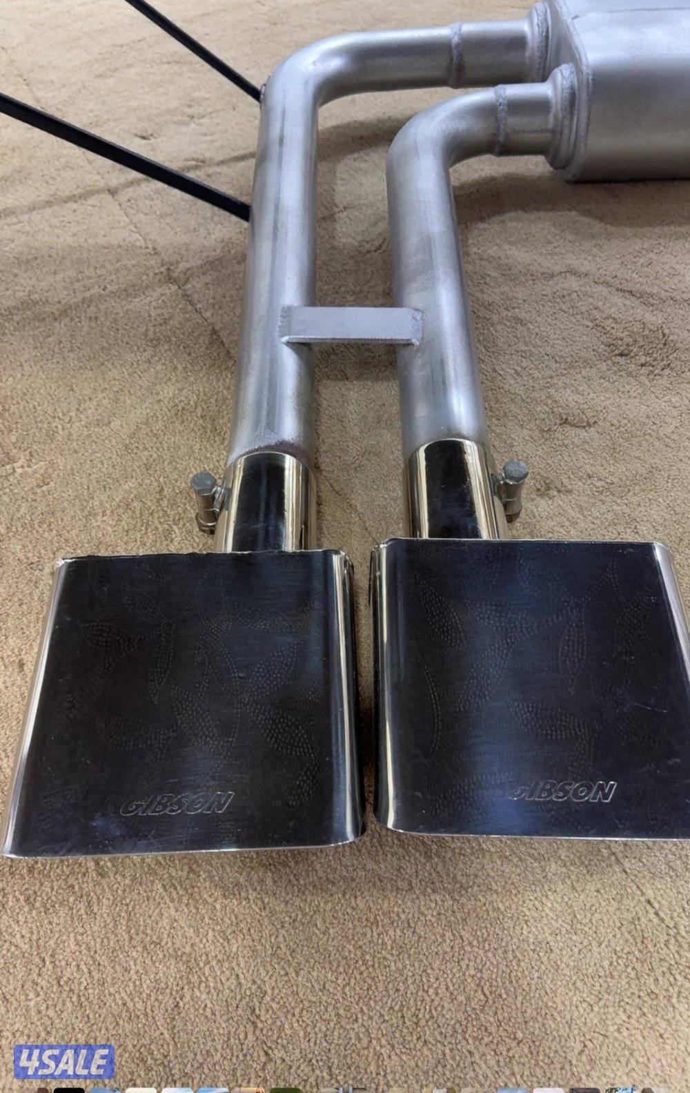 للبيع قزوز امريكي0