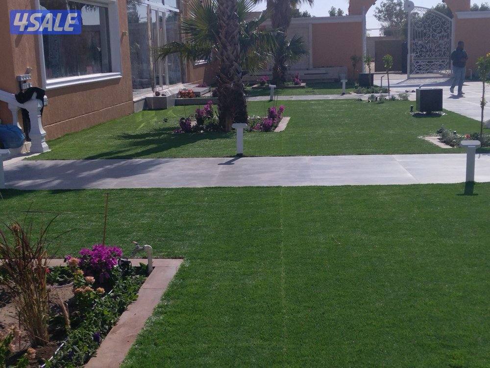 تنسيق حدائق ابو روان1