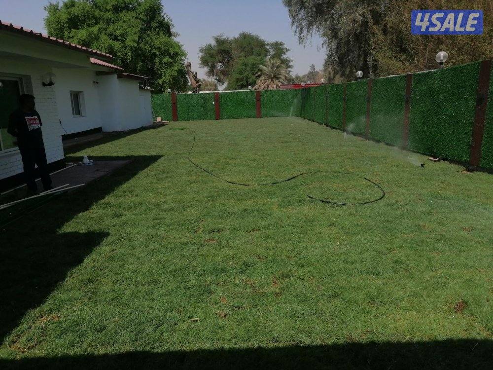 تنسيق حدائق ابو روان3