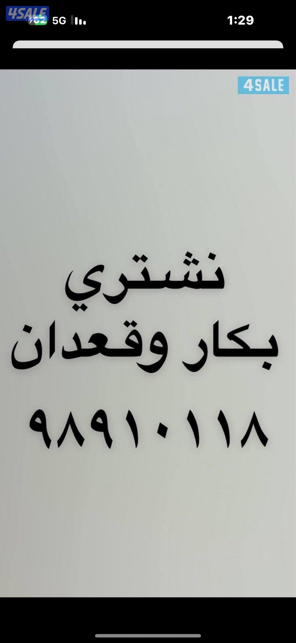 نشتري بكار وقعدان قصب جملة وتفريد0