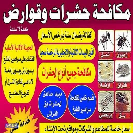 مكافحة حشرات وقوارض جميع مناطق الكويت. كفاله سنتين2