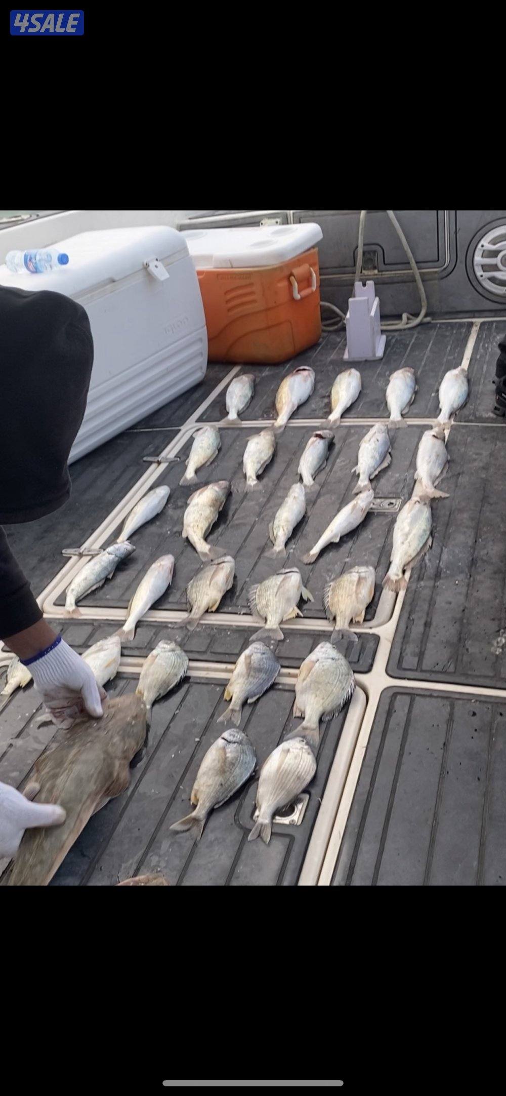 سي ستار للرحلات البحرية5