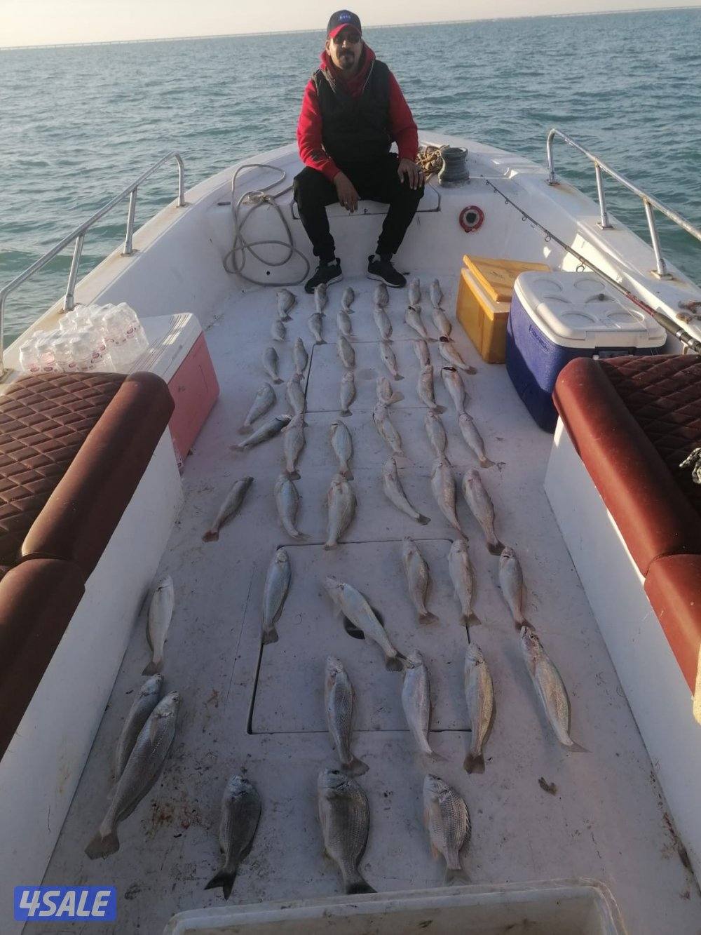 سي ستار للرحلات البحرية7