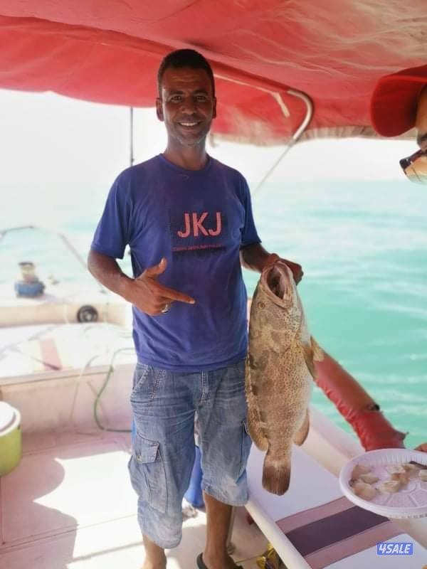 سي ستار للرحلات البحرية8