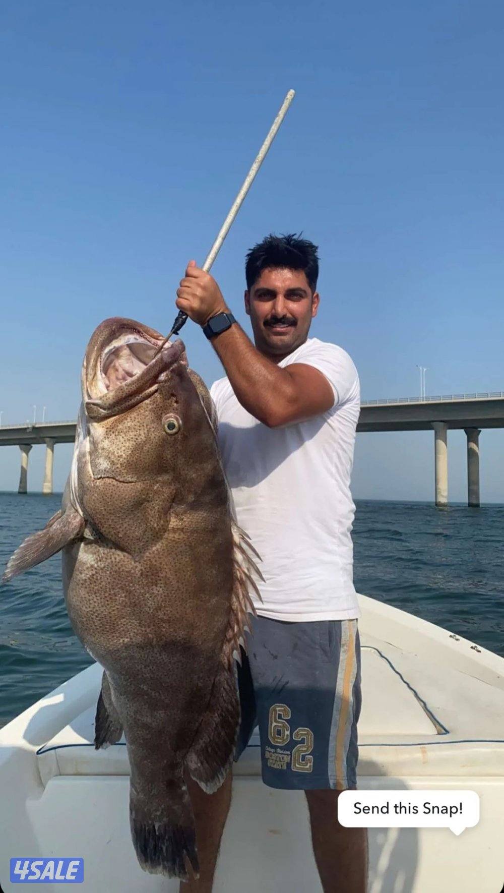 سي ستار للرحلات البحرية9