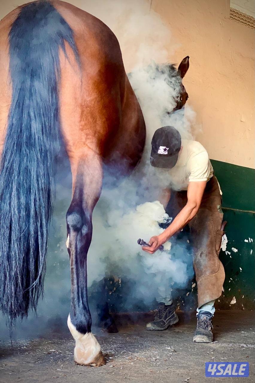 محذي مغربي0