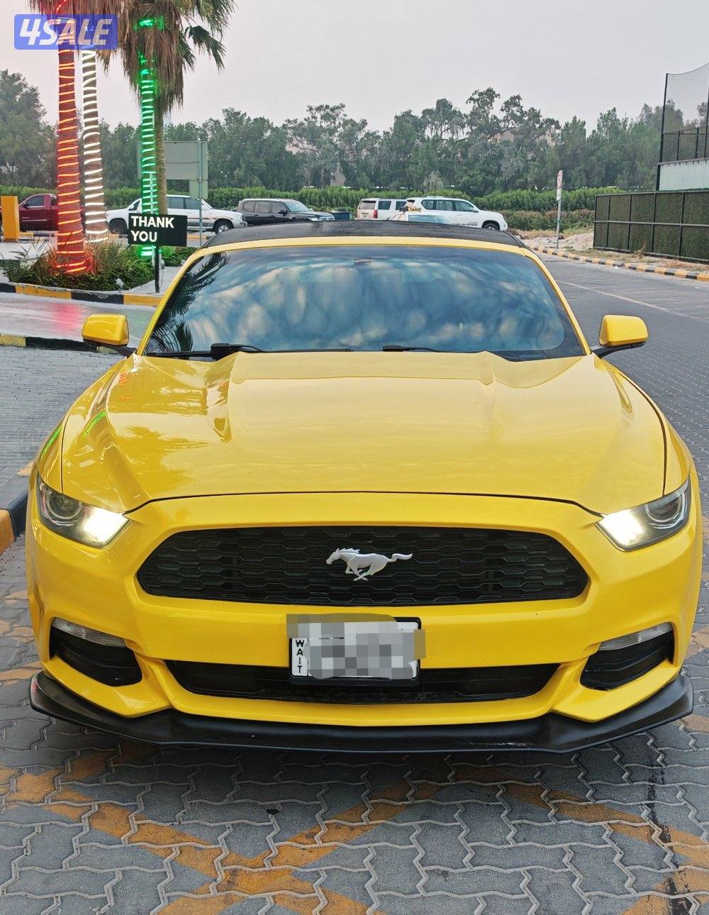 موستنج 2015 كشف0