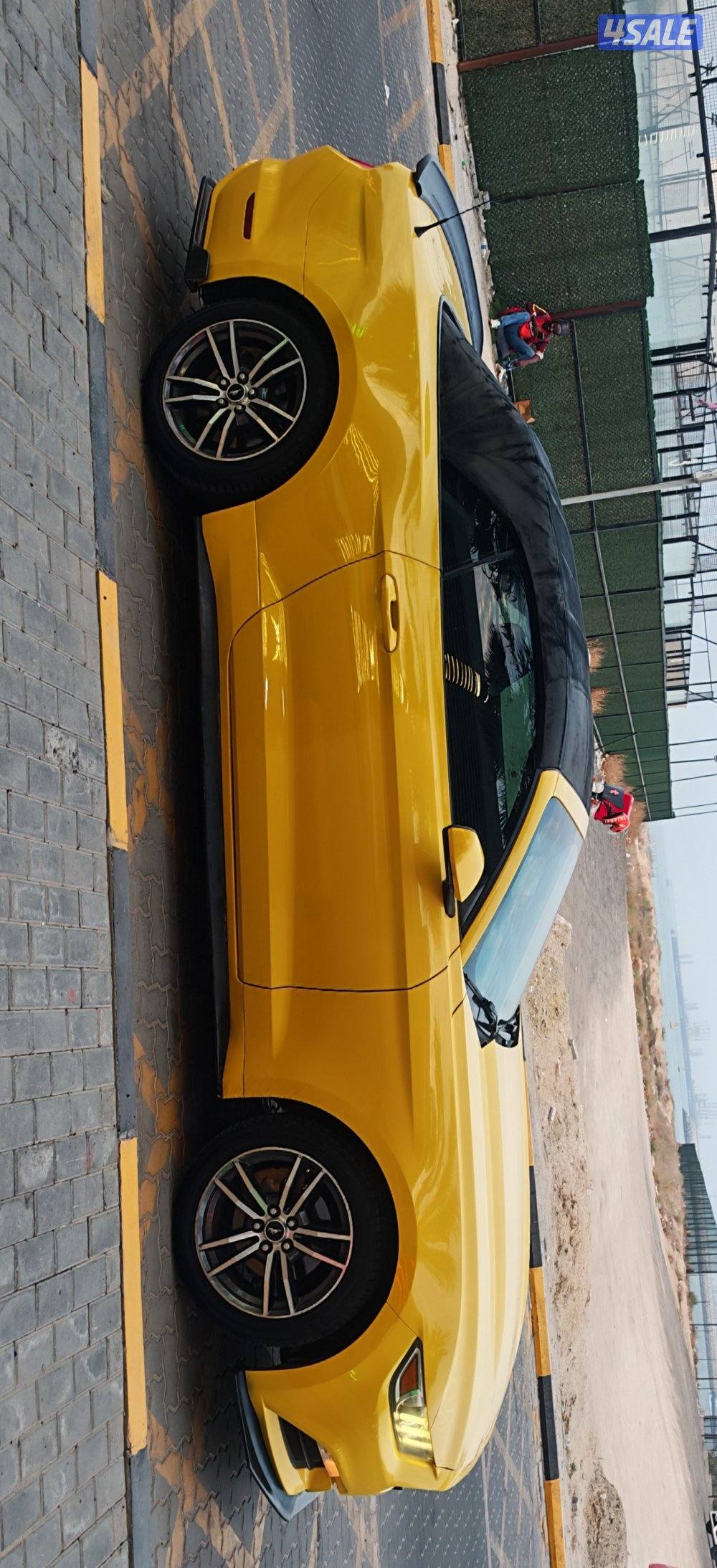 موستنج 2015 كشف5