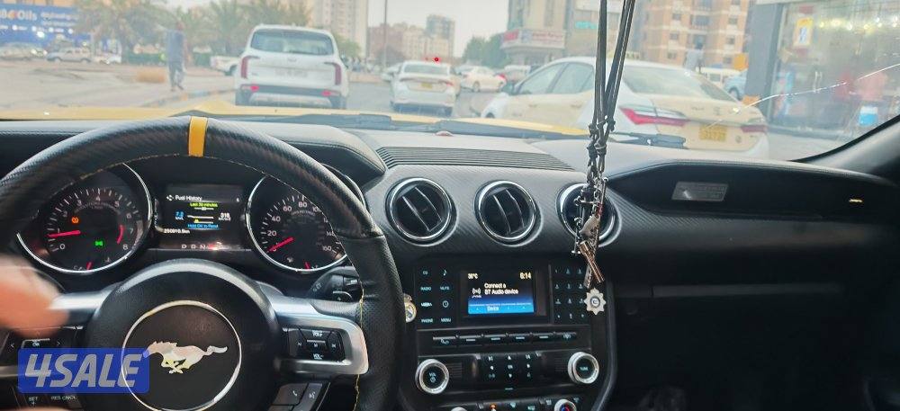 موستنج 2015 كشف6