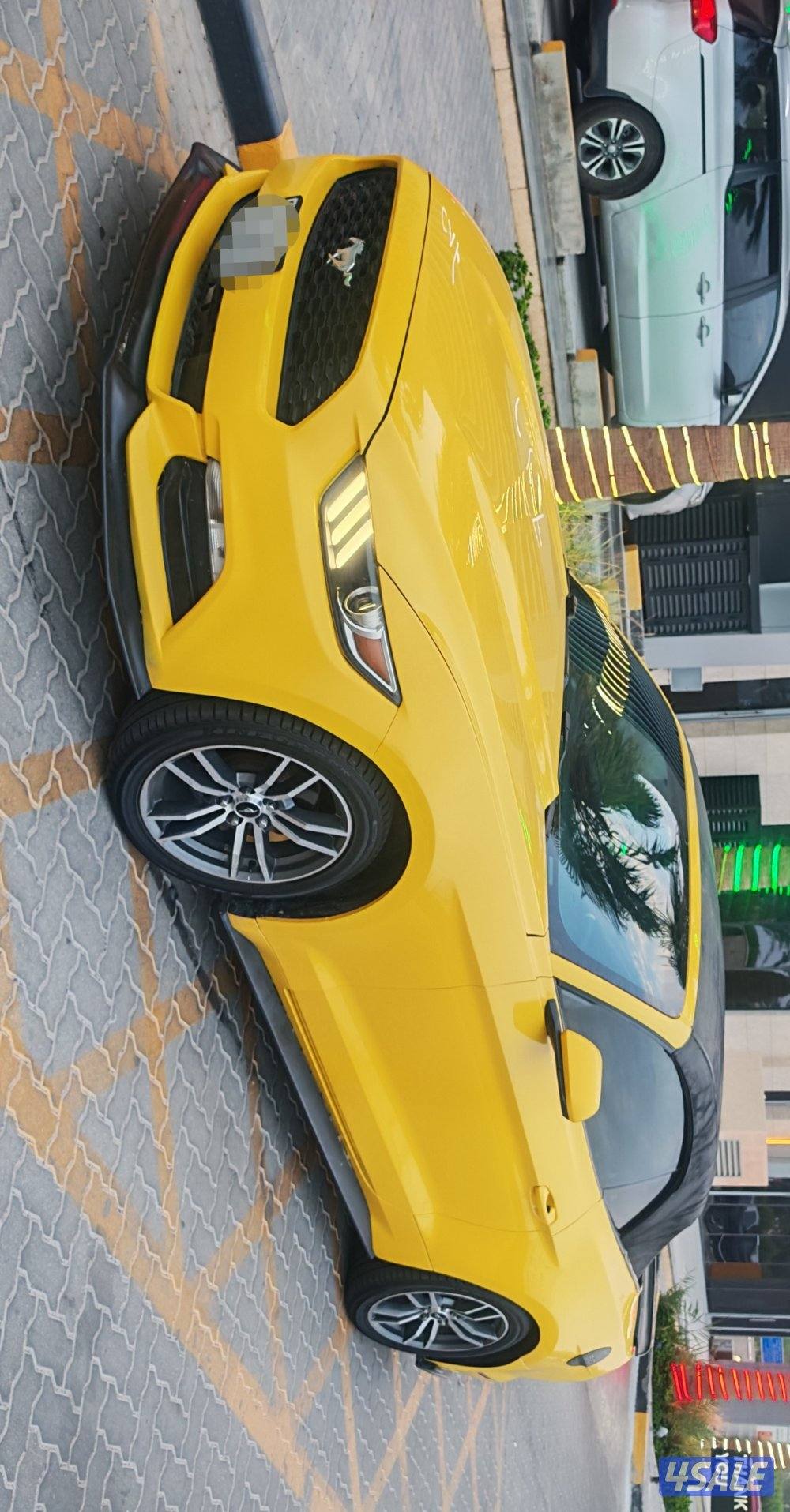 موستنج 2015 كشف7