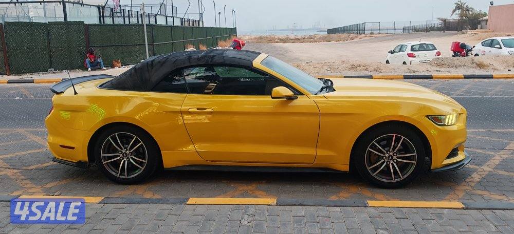 موستنج 2015 كشف10