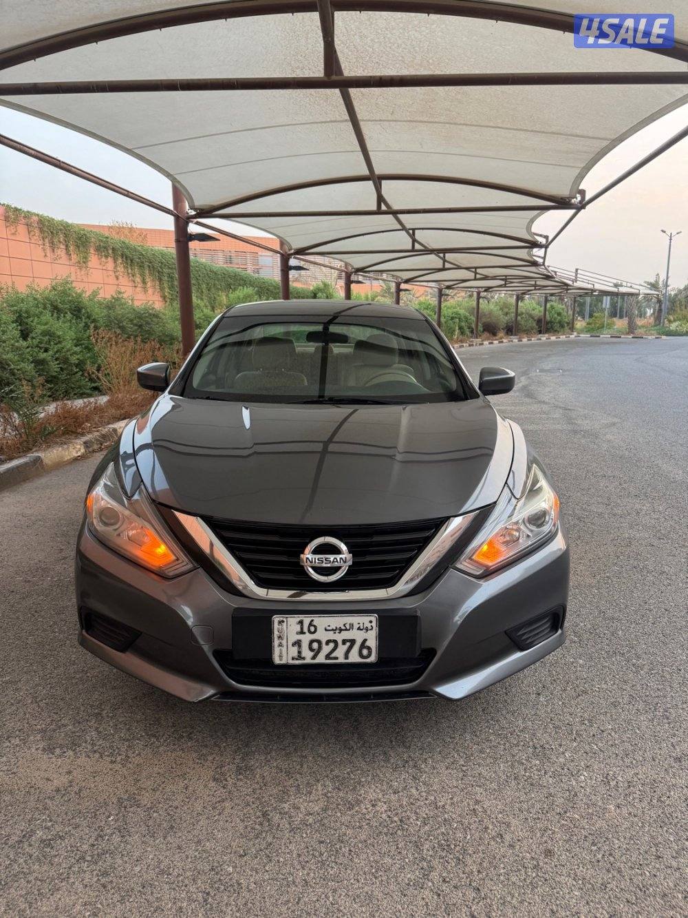 التيما 4 سلندر البابطين4