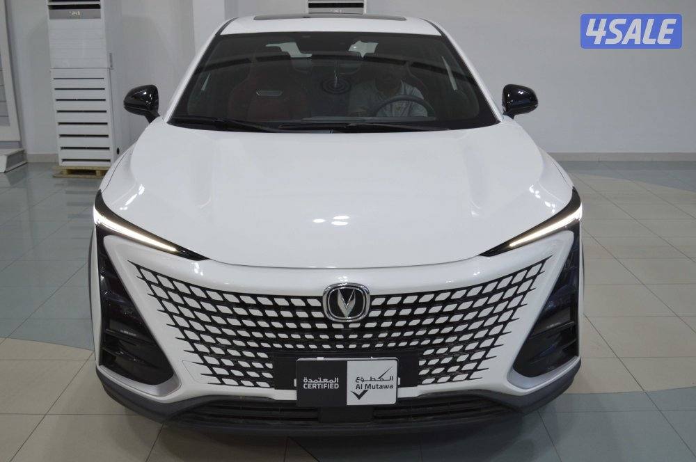 Changan UNI-T Standard 20241