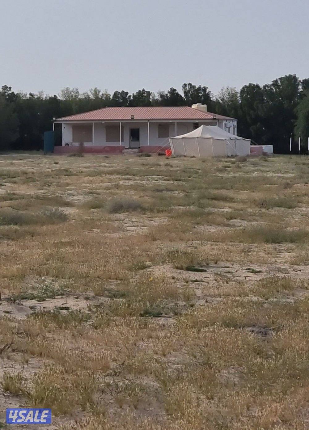 مزرعه في محافظه النعيريه (مليجه)8