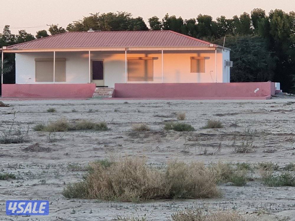 مزرعه في محافظه النعيريه (مليجه)10