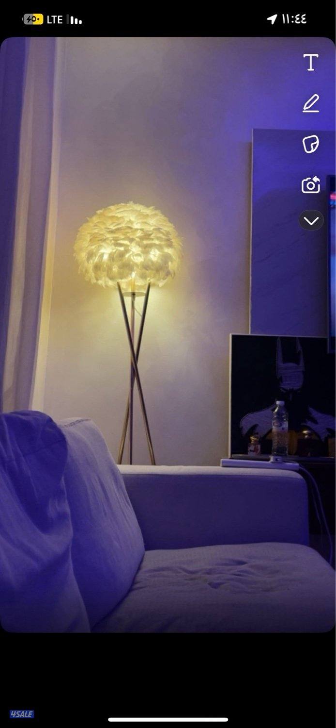 للاجار يومي شي مرتب المهبوله1