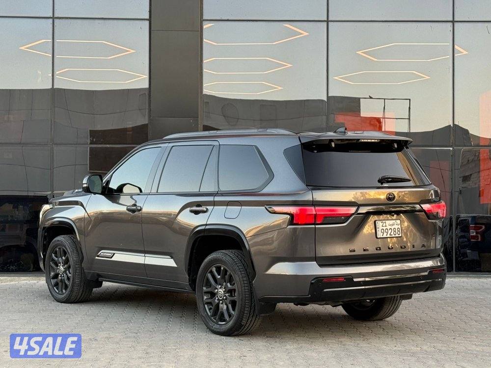 SEQUOIA PLATINUM _2023 صبغ الوكالة5