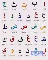 معلم لغة عربية  ثانوي فقط3