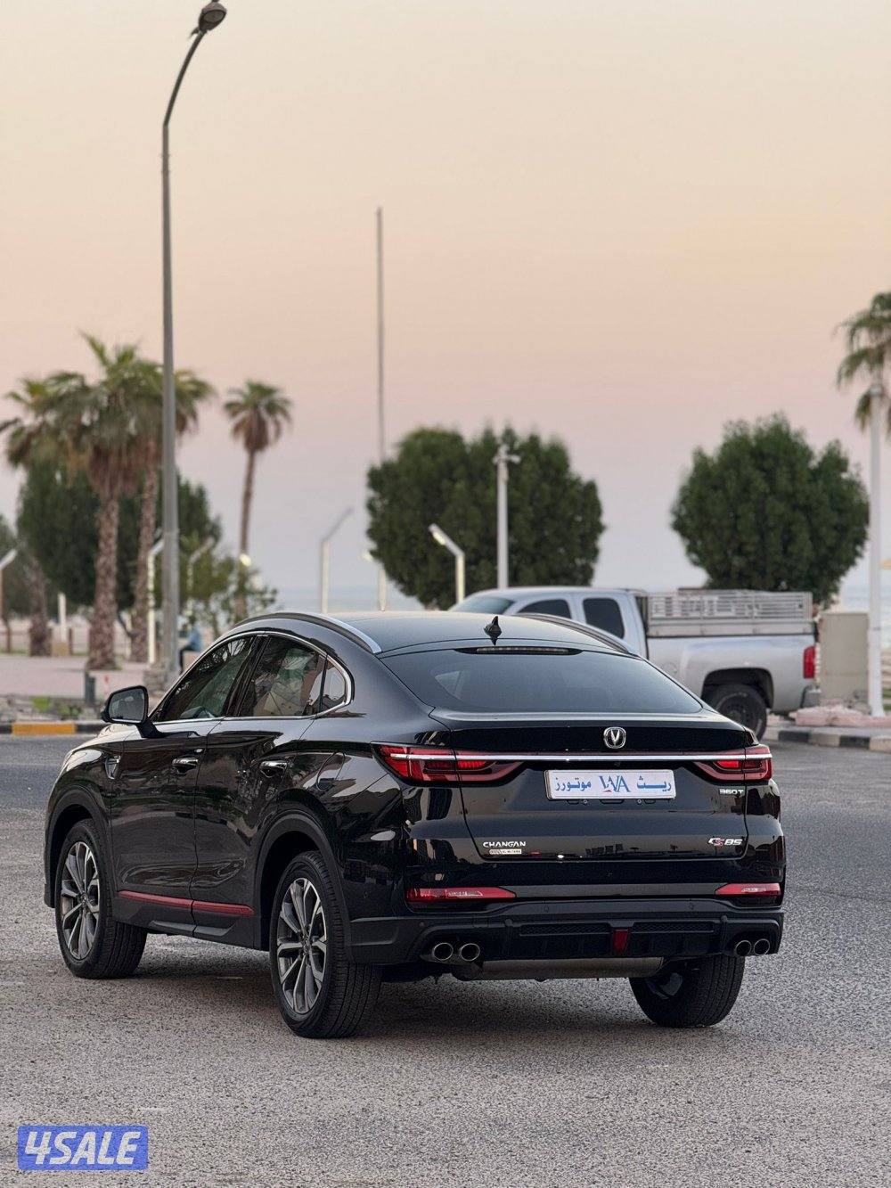 للبيع شانغان 20233