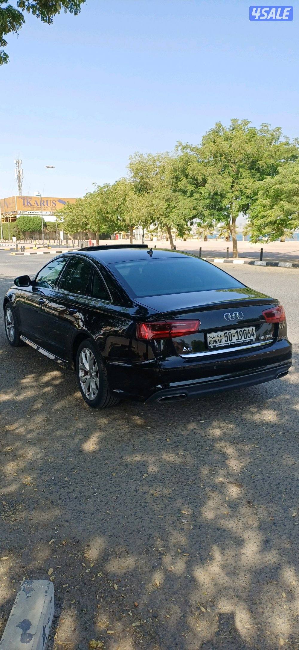 الشعب البحري2