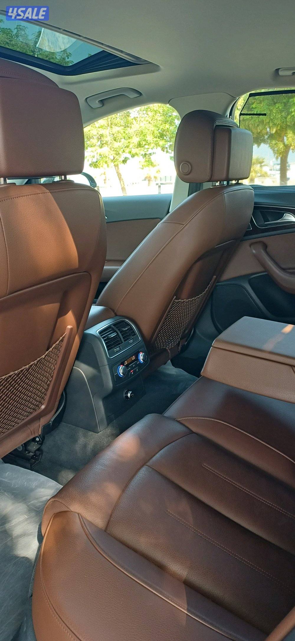 الشعب البحري7