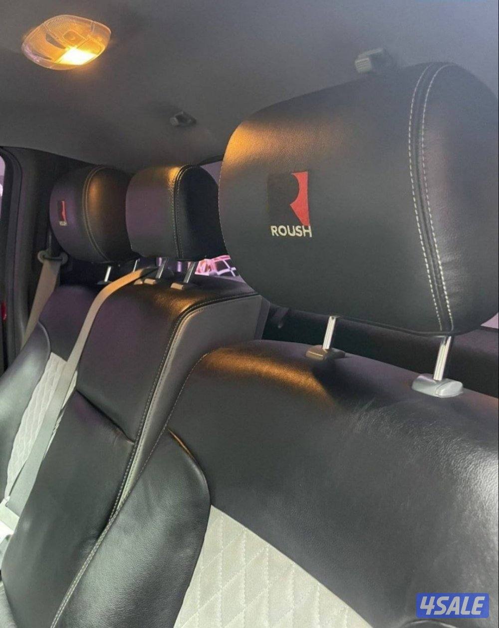 للبيع وانيت F-150ROUSH10