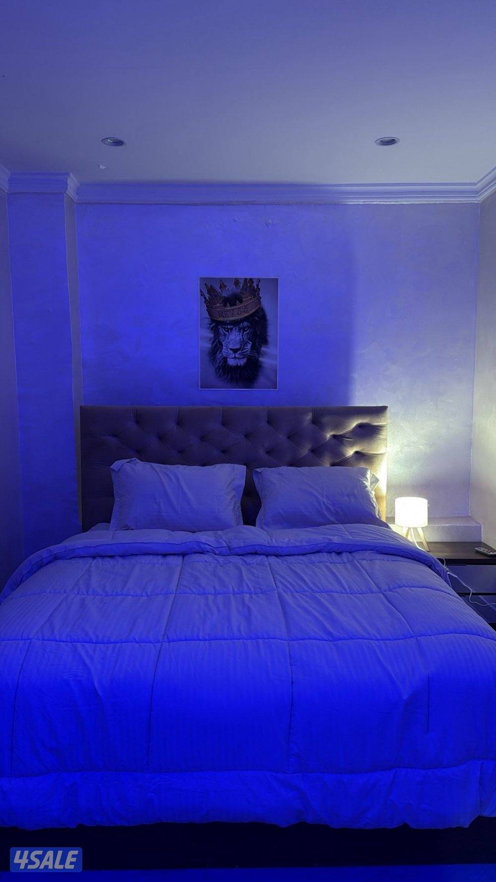 🎈 ابو حليفه 🎈4