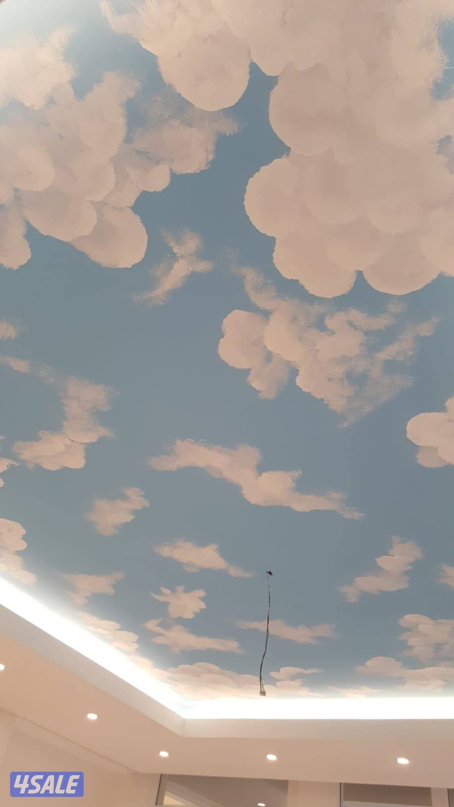 اصباغ ومقولات عامه. جميع انواع الاصباغ7