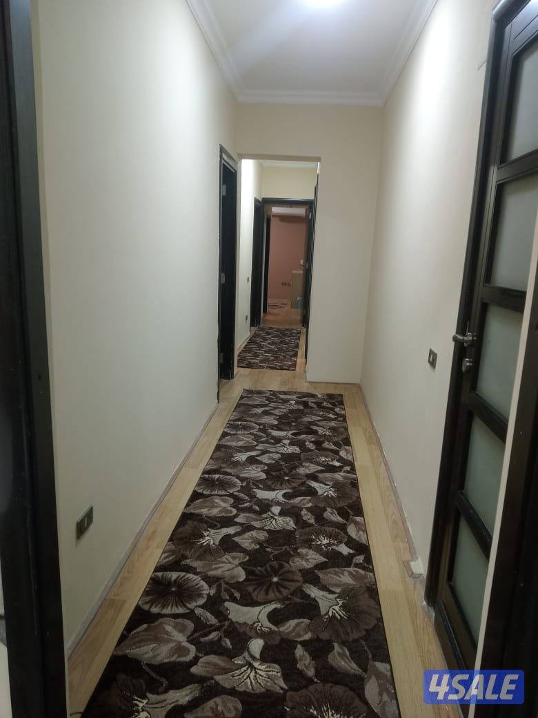 للاجار شقة بالمهندسين8