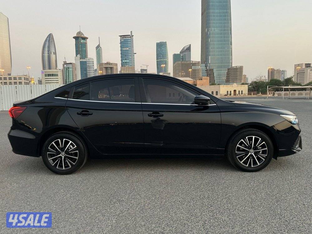 الدرجة الأولى _صبغ الوكالة _تحت الكفالة  _MG 55