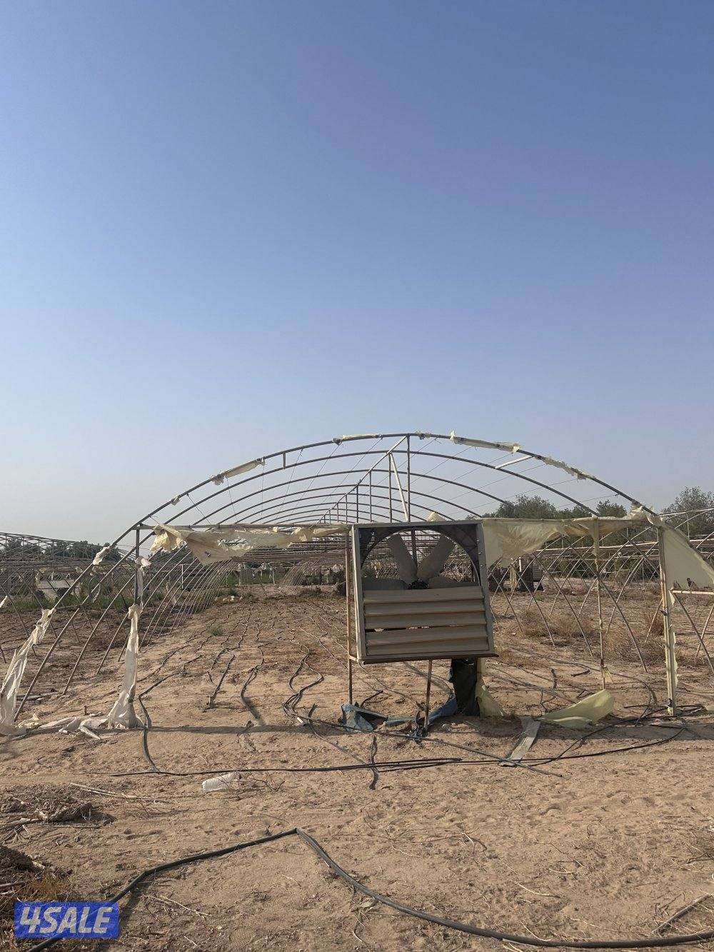 محميات زراعية في العبدلي1