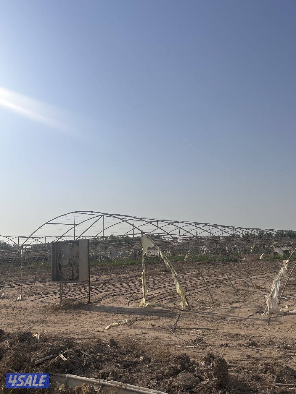 محميات زراعية في العبدلي2