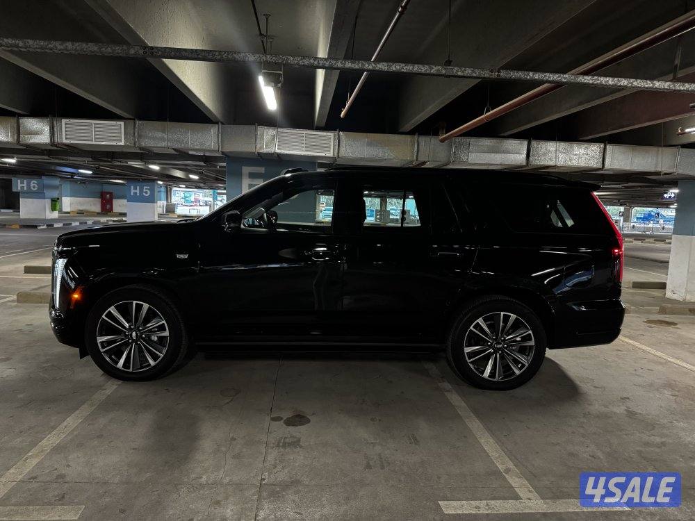 للبيع سكاليد ٢٠٢٥ SPORT PLATINUM ((أصفار))1