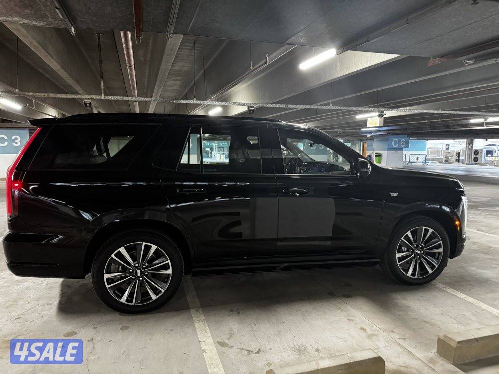 للبيع سكاليد ٢٠٢٥ SPORT PLATINUM ((أصفار))4