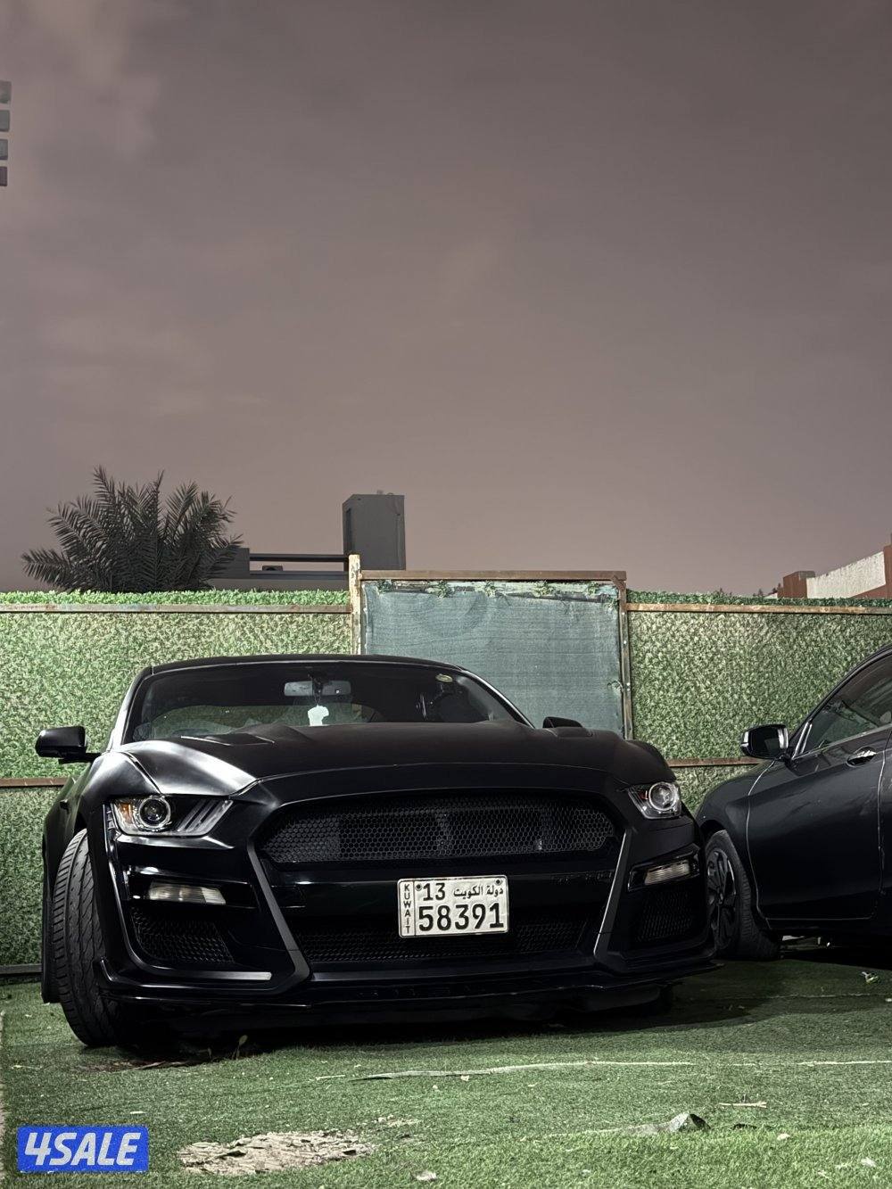 صباح السالم1