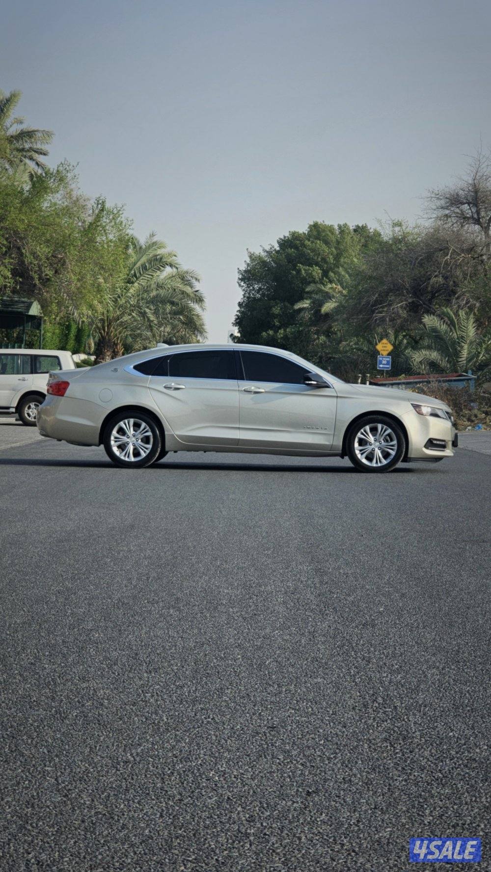 أمبالا LS 20155