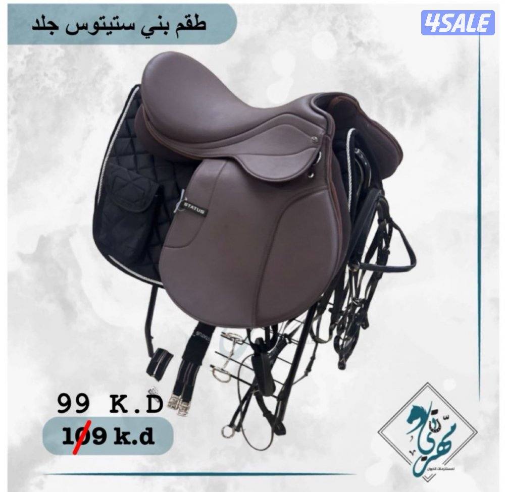 اقل الاسعار سروج ستيتوس3