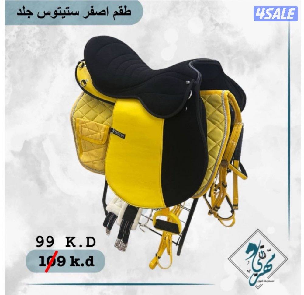 اقل الاسعار سروج ستيتوس4