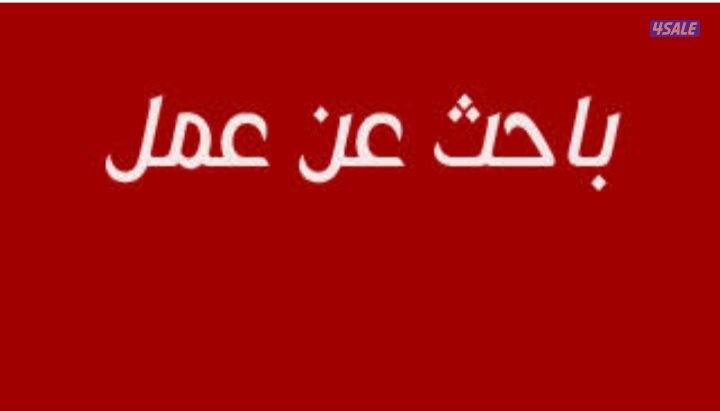 يمني يبحث عن عمل0