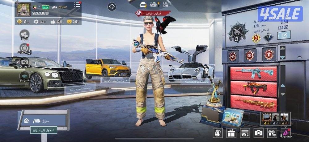 حساب ببجي عالميه0