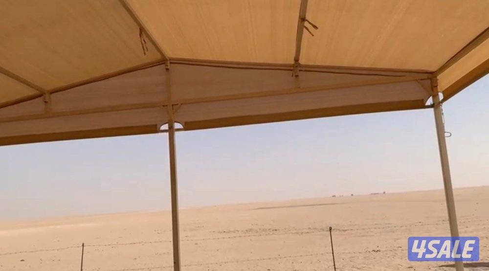 السالمي ،،،3