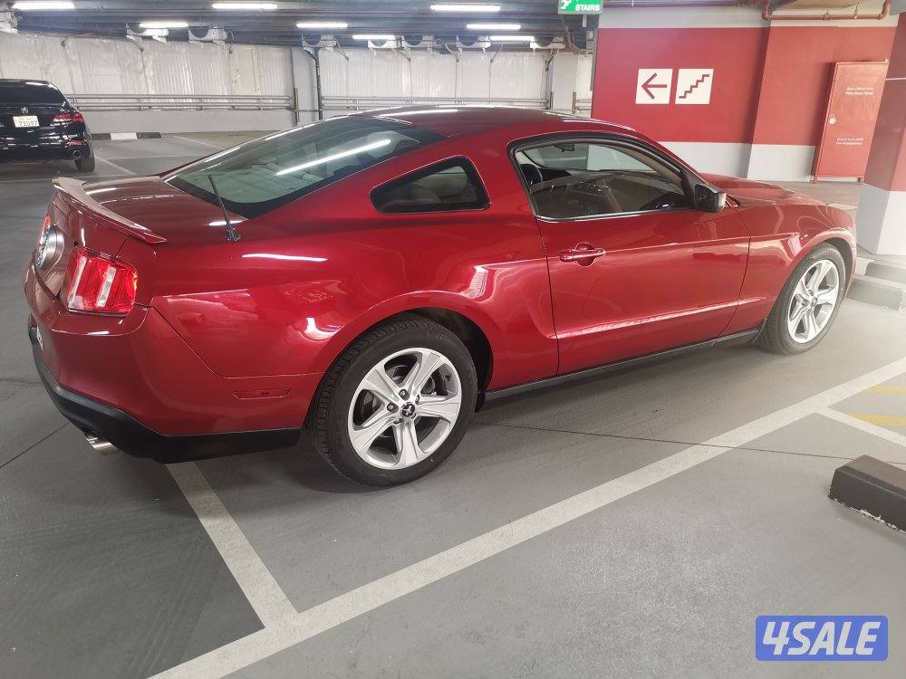 موستنج ٢٠١١4