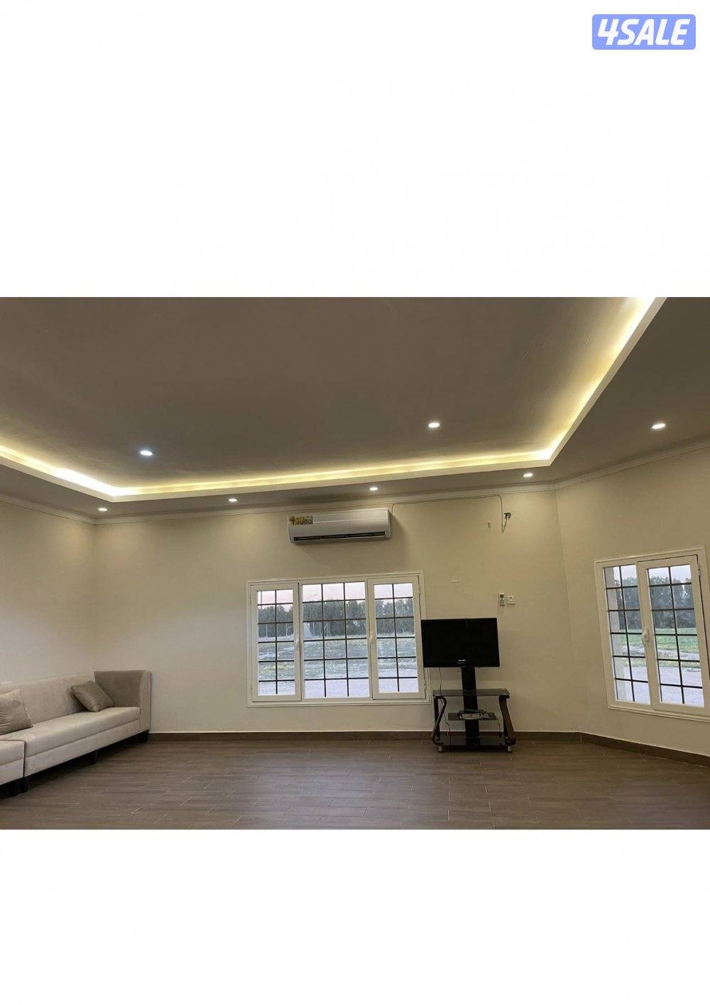 ايجار شهري1