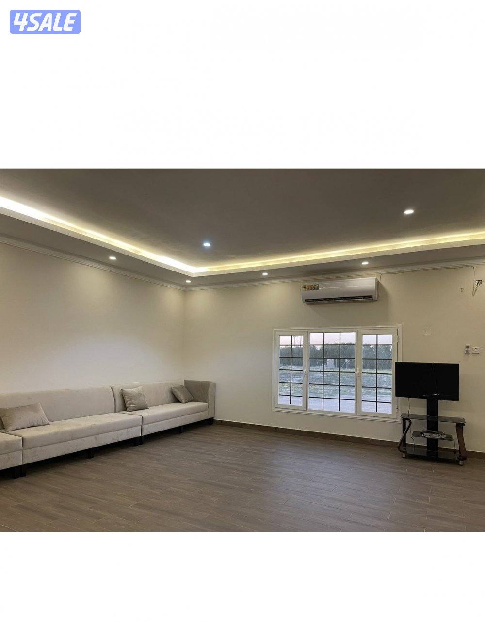 ايجار شهري5