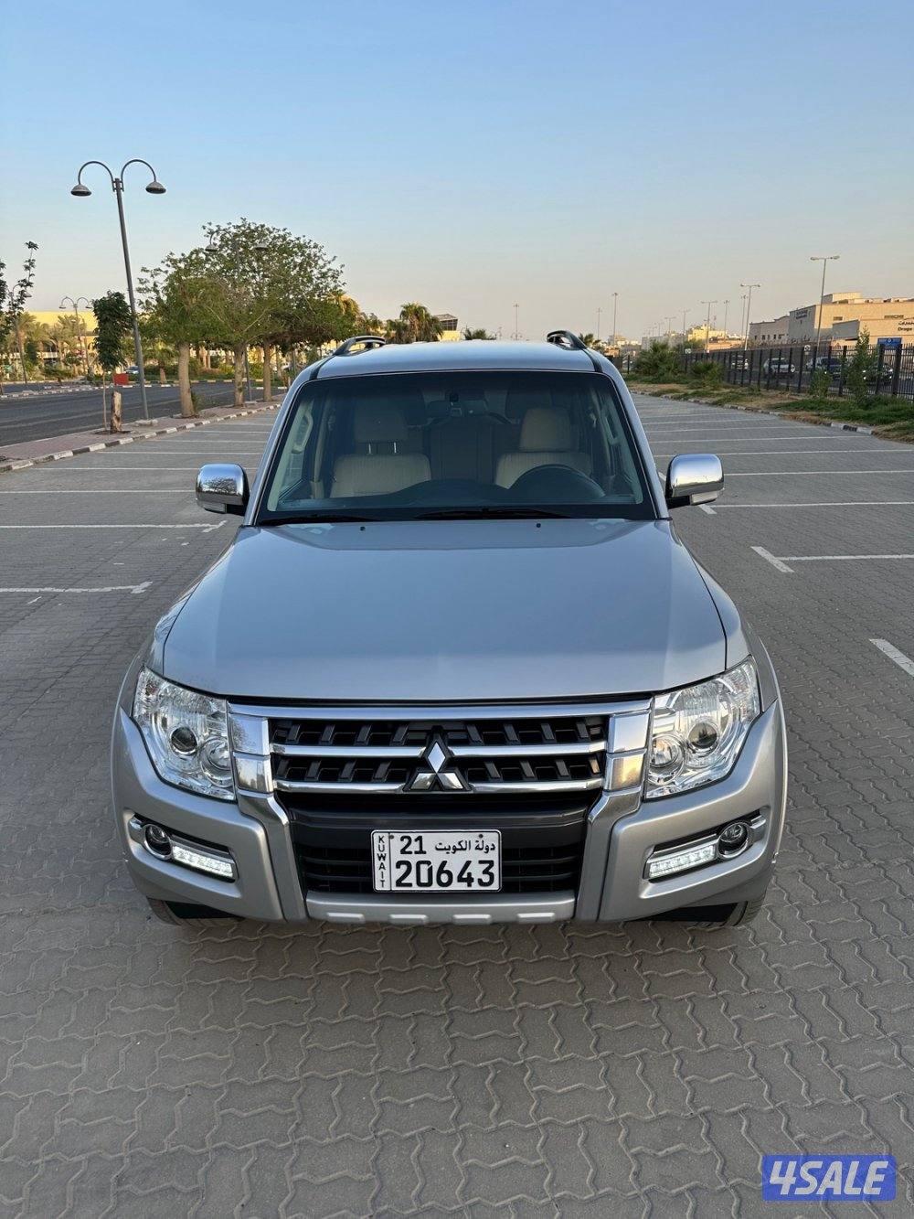 صبغ الوكالة مكينة كبيرة4