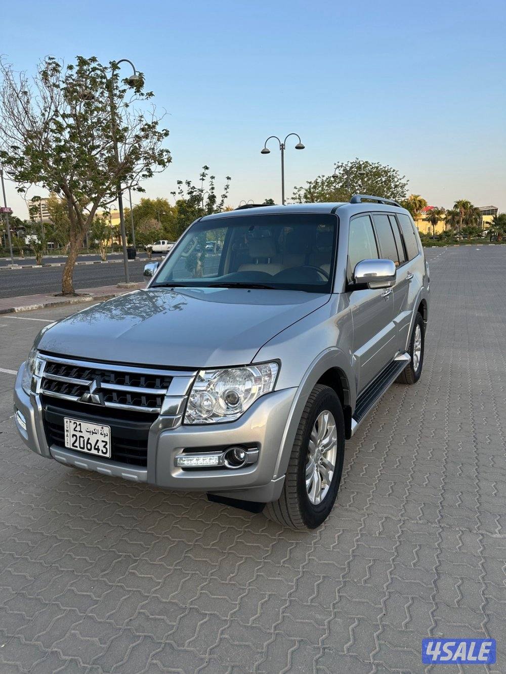 صبغ الوكالة مكينة كبيرة3