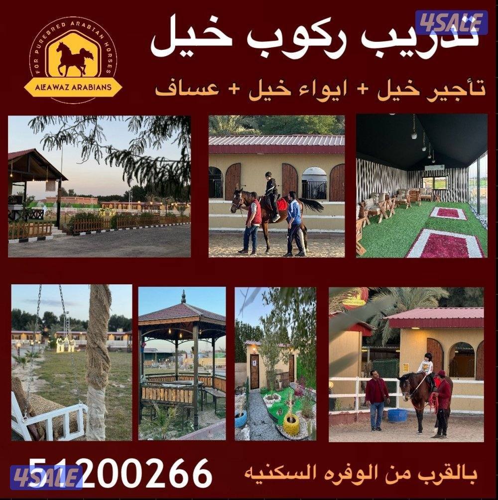 مدرسه وايواء1