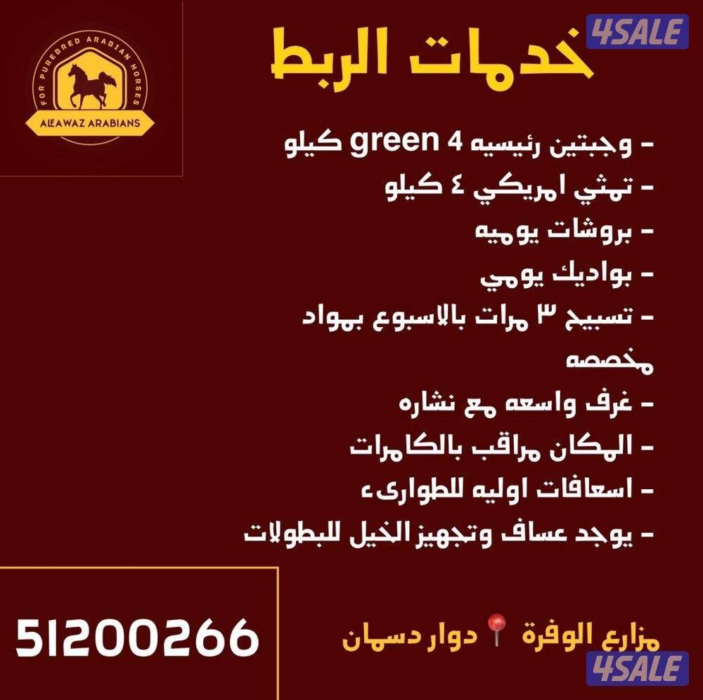 مدرسه وايواء2