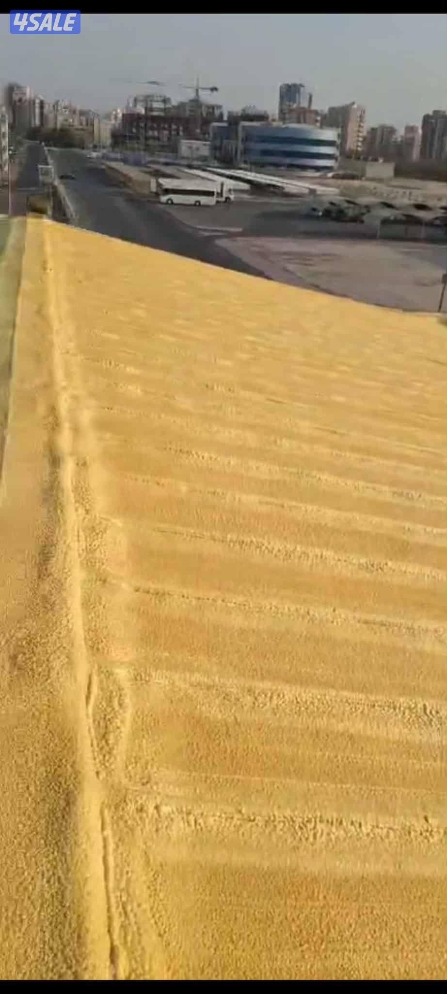 عازل مائي وحرار رش امريكي جميع الاسطح والمنازل والحمامات بافضل الخدمات1