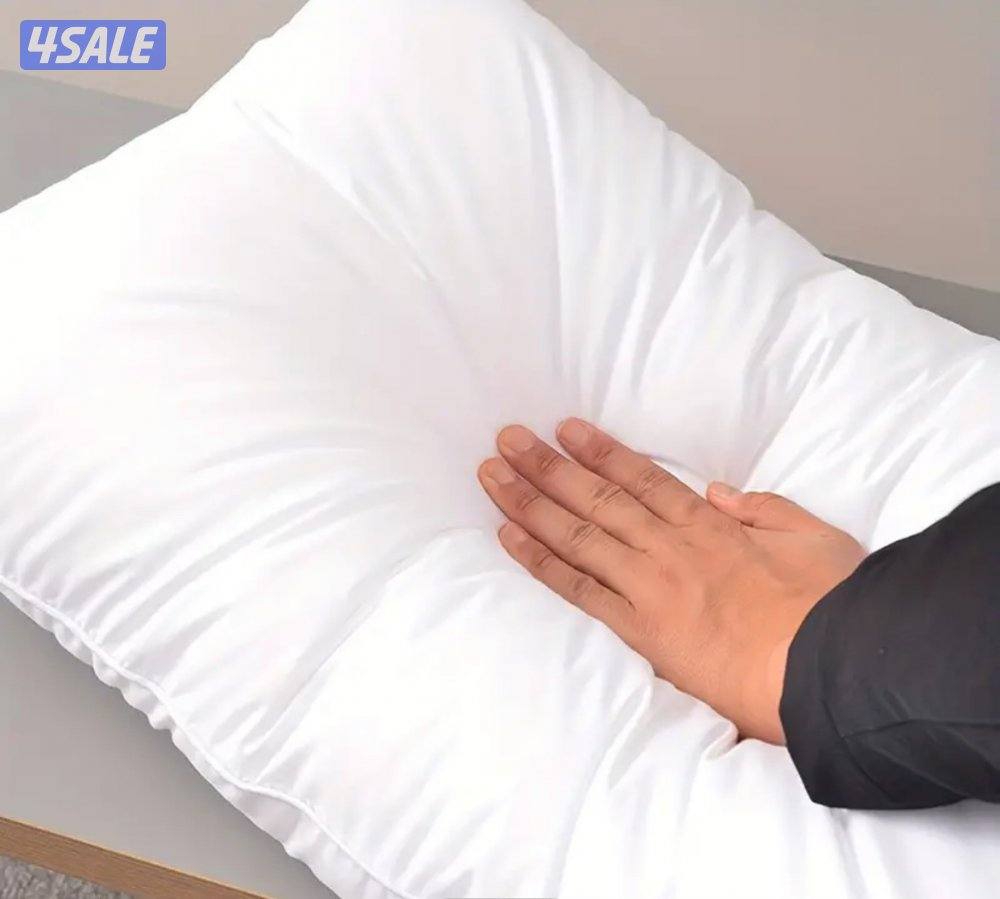 مراتب طيبه8